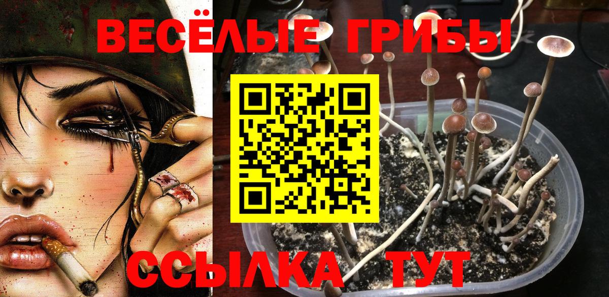 Псилоцибиновые грибы Psilocybine cubensis Рузаевка